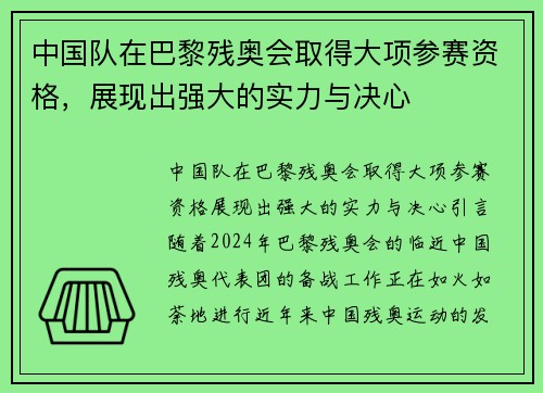 中国队在巴黎残奥会取得大项参赛资格，展现出强大的实力与决心