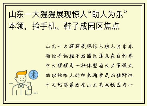 山东一大猩猩展现惊人“助人为乐”本领，捡手机、鞋子成园区焦点